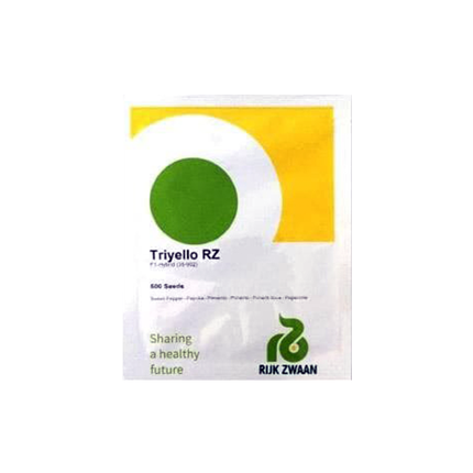 Triyello RZ F1 (35-902) Yellow Capsicum Seeds - 1000 SEEDS - Agriplex
