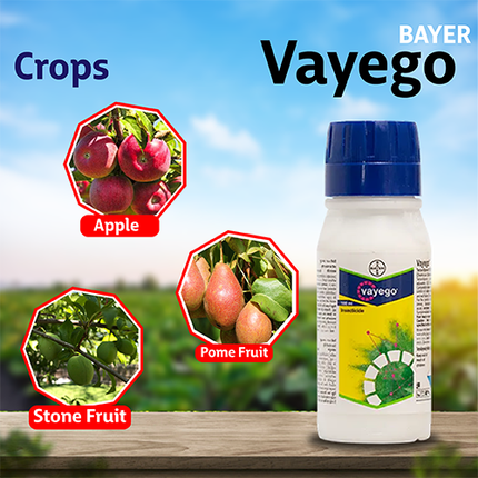 Bayer Vayego Insecticide Crop