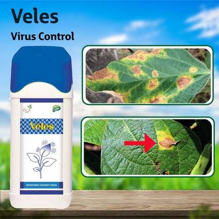 Samruddi Veles Virus Control - Agriplex