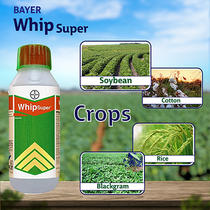 Bayer Whip Super Herbicide Crops