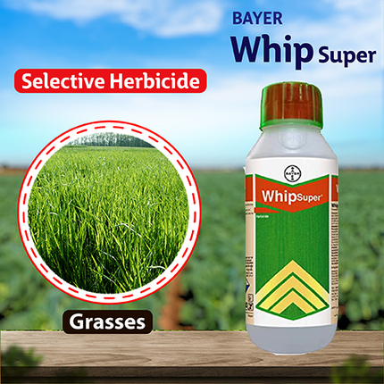 Bayer Whip Super Herbicide