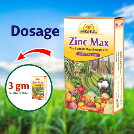 Anshul Zinc Max Micro Nutrient Dosage
