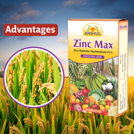 Anshul Zinc Max Micro Nutrient Advantages