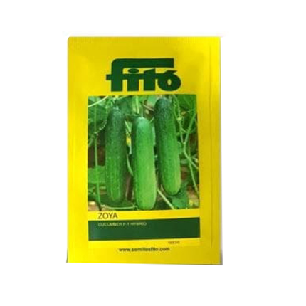 FITO Zoya Cucumber Seeds - 300 SEEDS - Agriplex