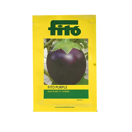 FITO Purple Brinjal Seeds - Agriplex