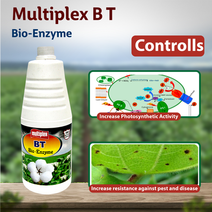Multiplex B T Enzyme Growth Stimulant Controls