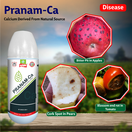 Multiplex Pranam-Ca Secondary Nutrient