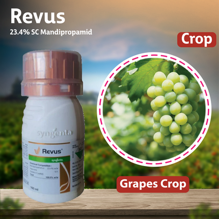 Syngenta Revus Fungicide Crops