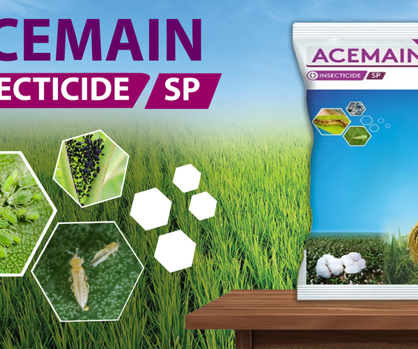 Adama Acemain: An Effective Insecticide for Sucking Pest Control in Ag ...