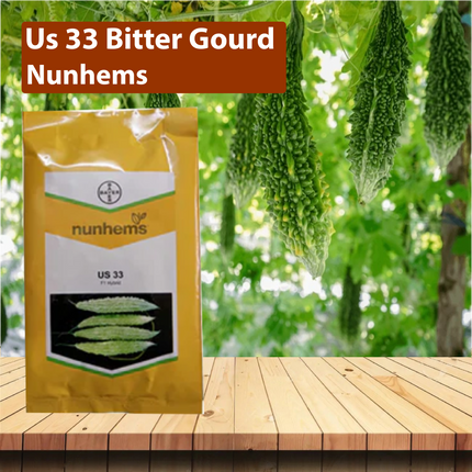 Nunhems Us 33 Bitter Gourd Seeds - Pack of 250 Seeds - Agriplex