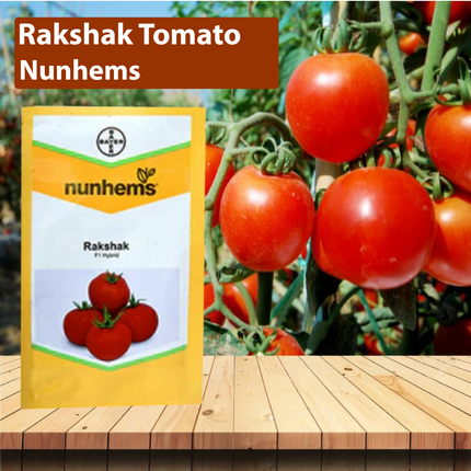 Nunhems Rakshak Tomato Seeds - Pack of 3000 Seeds - Agriplex