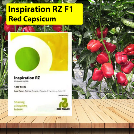 Inspiration RZ F1 Red Capsicum Seeds - 1000 SEEDS - Agriplex