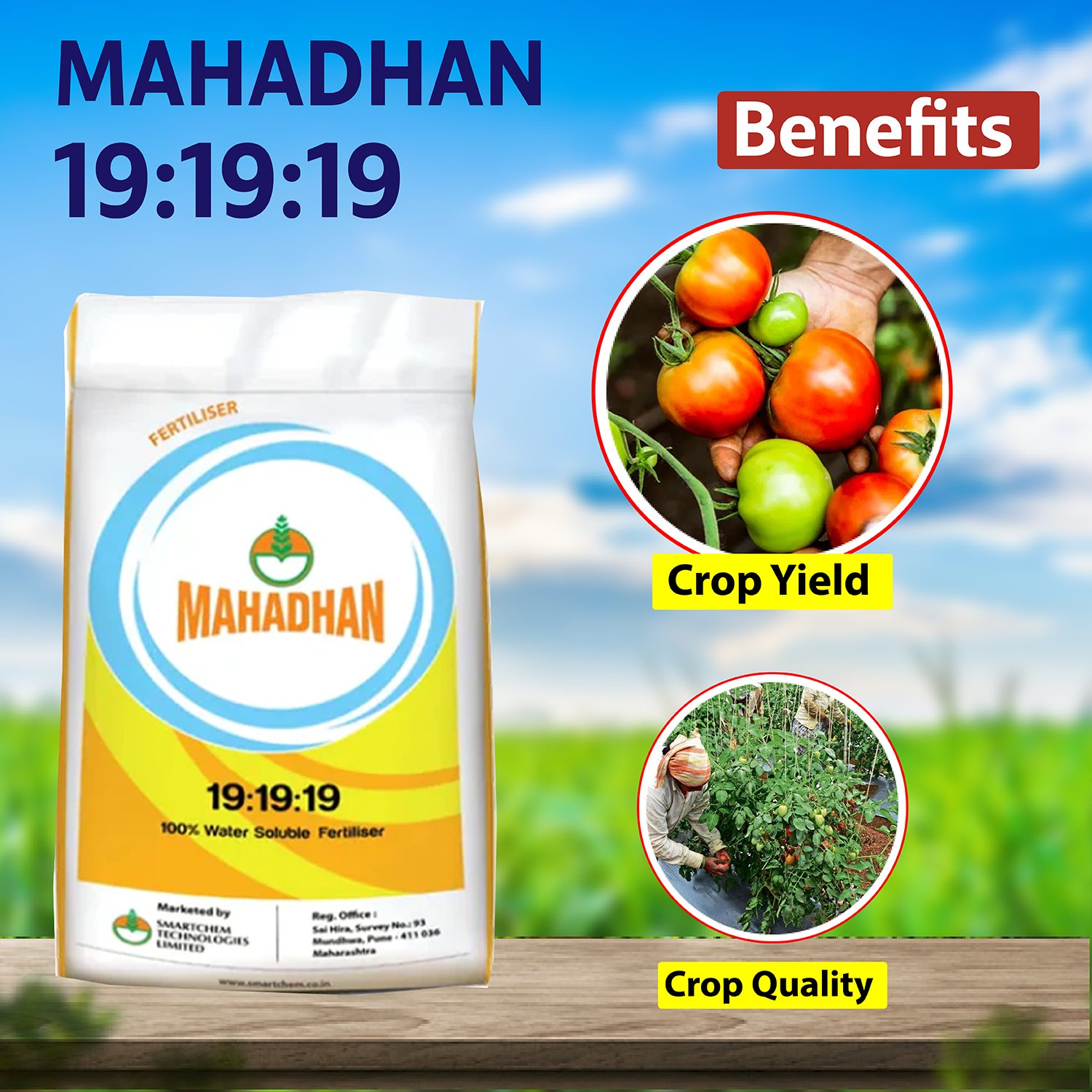 Mahadhan 191919 Fertilizers 1 KG Agriplex