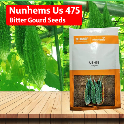 Nunhems Us 475 Bitter Gourd Seeds - Pack of 250 Seeds - Agriplex