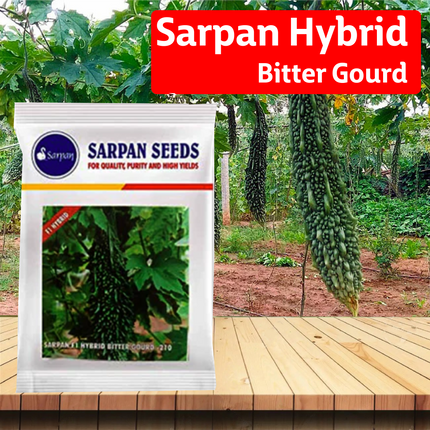 Sarpan Hybrid Bitter Gourd-210 Seeds - 25 GM - Agriplex