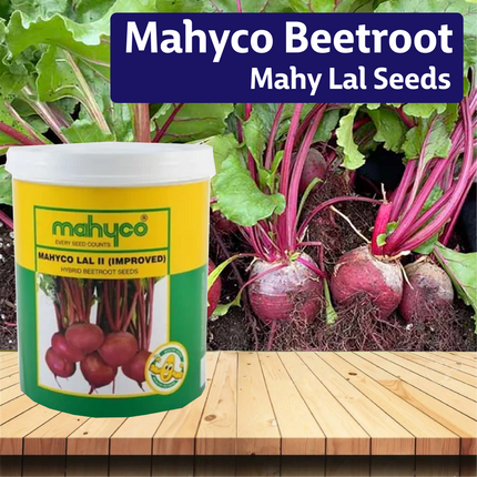 Mahyco Beetroot Mahy Lal Seeds - 200 GM