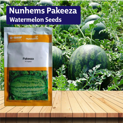 Nunhems Pakeeza Watermelon Seeds- 2000SEEDS - Agriplex