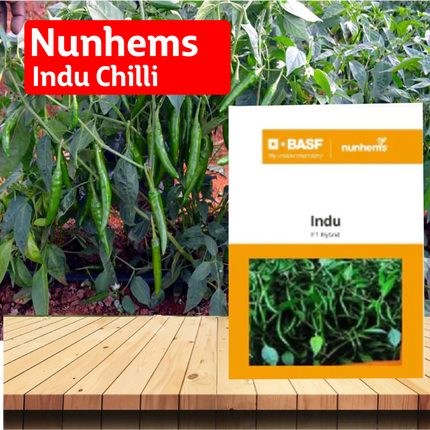 Nunhems Indu Chilli - 1500SEEDS - Agriplex
