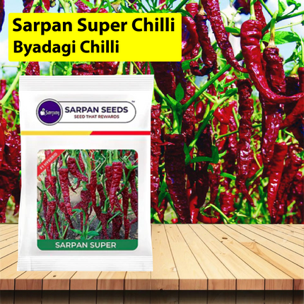 Sarpan Super Chilli - Byadagi Chilli Seeds - Agriplex