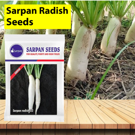 Sarpan Radish - 22 Seeds - 500 GM - Agriplex