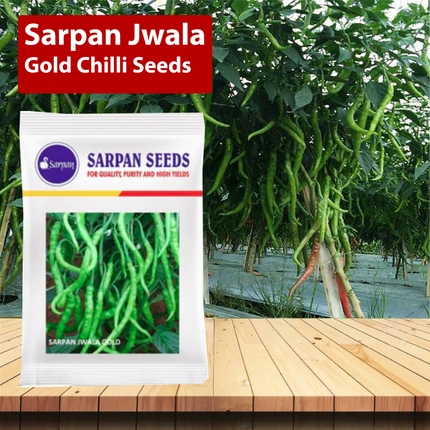 Sarpan Jwala Gold Chilli Seeds - 10 GM - Agriplex