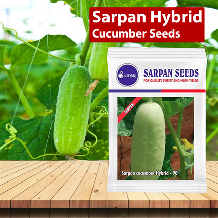 Sarpan Hybrid Cucumber Seeds - 50 GM - Agriplex