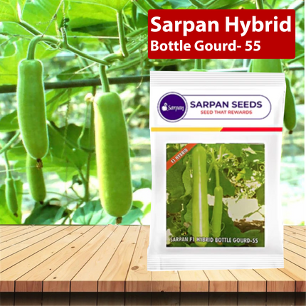 Sarpan Hybrid Bottle Gourd- 55 Seeds - 25 GM (Pack of 2) - Agriplex