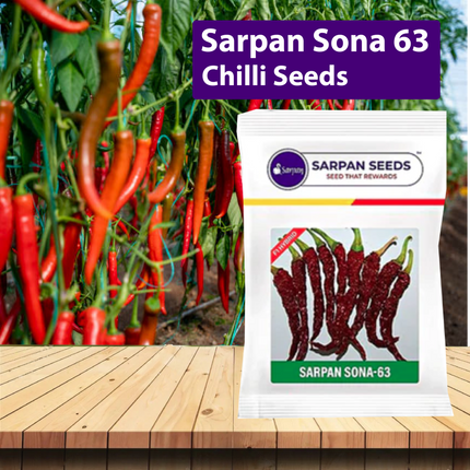 Sarpan Sona 63 Chilli Seeds - 10 GM