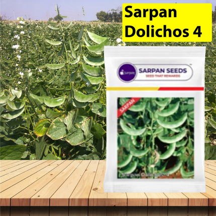 Sarpan Dolichos 4 Seeds - 2 KG - Agriplex