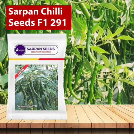 Sarpan Chilli Seeds F1 291 - Agriplex
