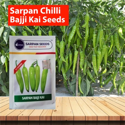 Sarpan Chilli Bajji Kai Seeds - 10 GM