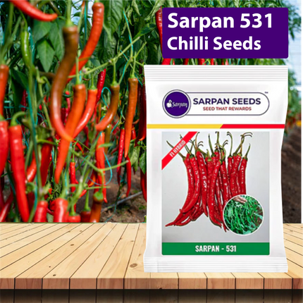 Sarpan 531 Chilli Seeds - Agriplex