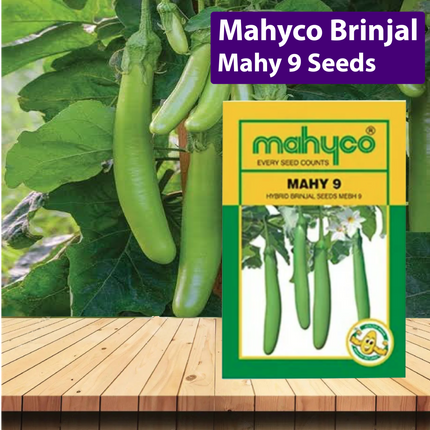 Mahyco Brinjal Mahy 9 Seeds - 10 GM - Agriplex