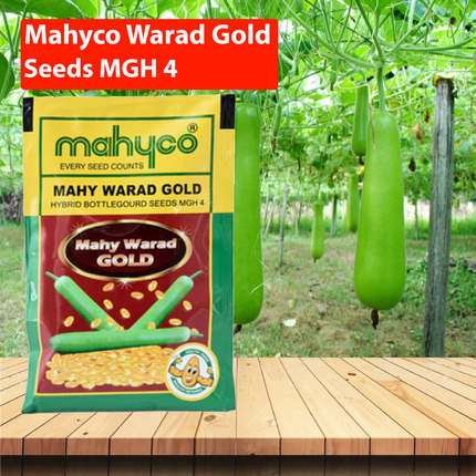 Mahyco Bottlegourd Warad Gold Seeds - 50 GM