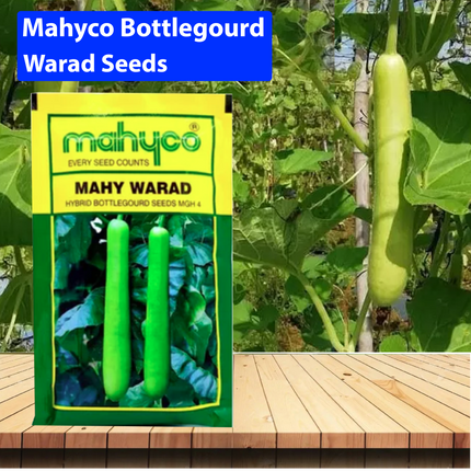 Mahyco Bottlegourd Warad Seeds - 50 GM - Agriplex