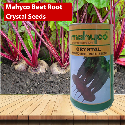 Mahyco Beet Root Crystal Seeds - Agriplex