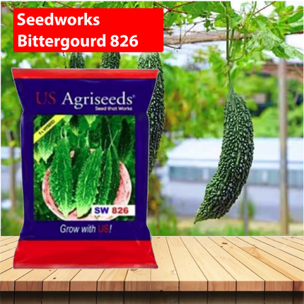 Seedworks Bittergourd 826 Seeds - 50GM - Agriplex