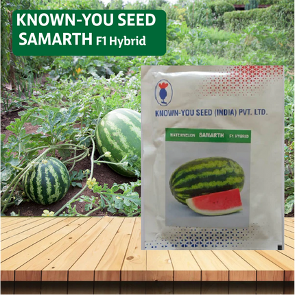 Known You Samarth Watermelon Seeds - 50GM