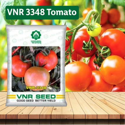 VNR 3348 Tomato - 10 GM - Agriplex