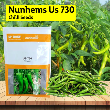 Nunhems US 730 Chilli Seeds - Pack of 1500 Seeds - Agriplex