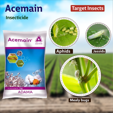 Adama Acemain (Aceohate 75% SP) Insecticide - Agriplex