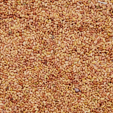 Alfa Alfa Lucerne Seeds (Fodder Crop)  - 1 KG