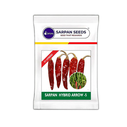 Sarpan Arrow-5
