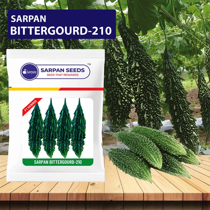 Sarpan Bittergourd-210 Seeds