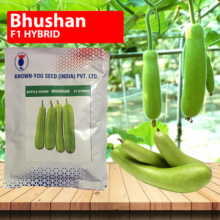 Known You Bhushan Bottle Gourd Seeds  - 50 GM (Pack of 2)