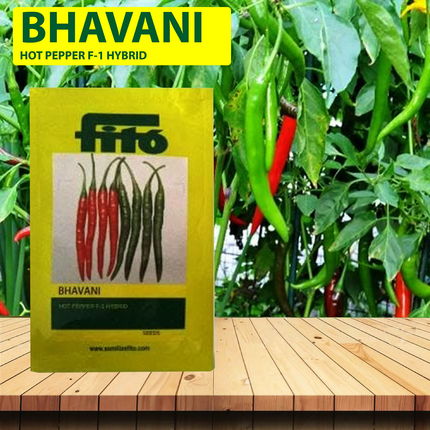 FITO Bhavani Chilli Seeds - Agriplex