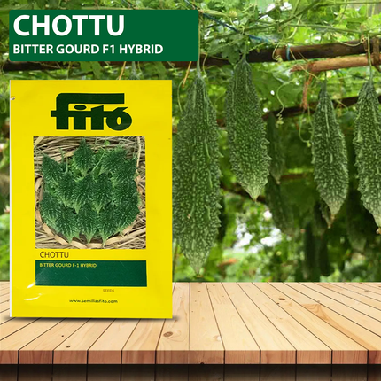 FITO Chottu F1 Hybrid Bitter Gourd Seeds - 100 SEEDS (Pack of 2)