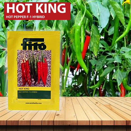 FITO Hot King Chilli Seeds - 2500 SEEDS - Agriplex