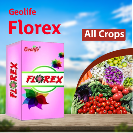 Geolife Florex (Flower Booster)