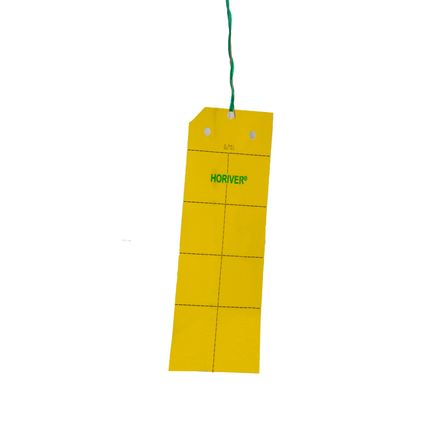 Koppert Horiver Small Yellow Sticky Trap